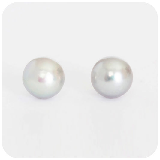 10-10.5mm Silver Grey Fresh Water Pearl Stud Earrings in Sterling Silver - Victoria's Jewellery