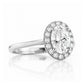 Tilana, an Oval cut Diamond Halo Engagement Ring - Victoria's Jewellery