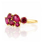 The Ena, a Cluster Ring with Rhodolite Garnet