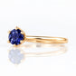 Tulip, a Six Claw Iolite Ring - Victoria's Jewellery
