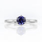 Tulip, a Six Claw Iolite Ring - Victoria's Jewellery