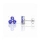 The Trilogy Tanzanite Stud Earrings - Victoria's Jewellery