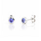 The Tube, Tanzanite Stud Earring - Victoria's Jewellery